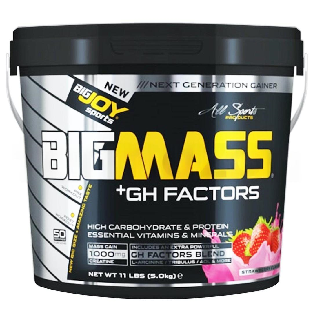 BigJoy Sports Bigmass +GH Factors Çilek 5 kg