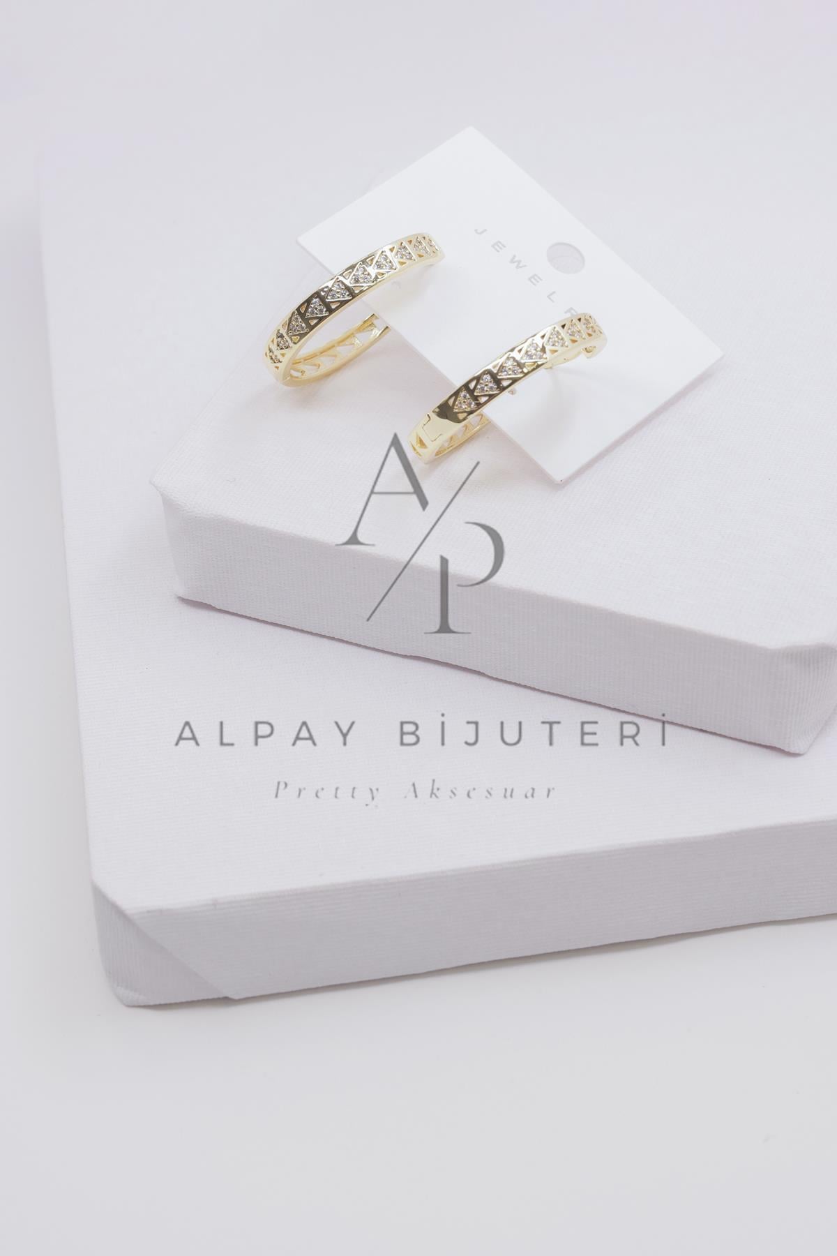 Şık Tasarım Küpe