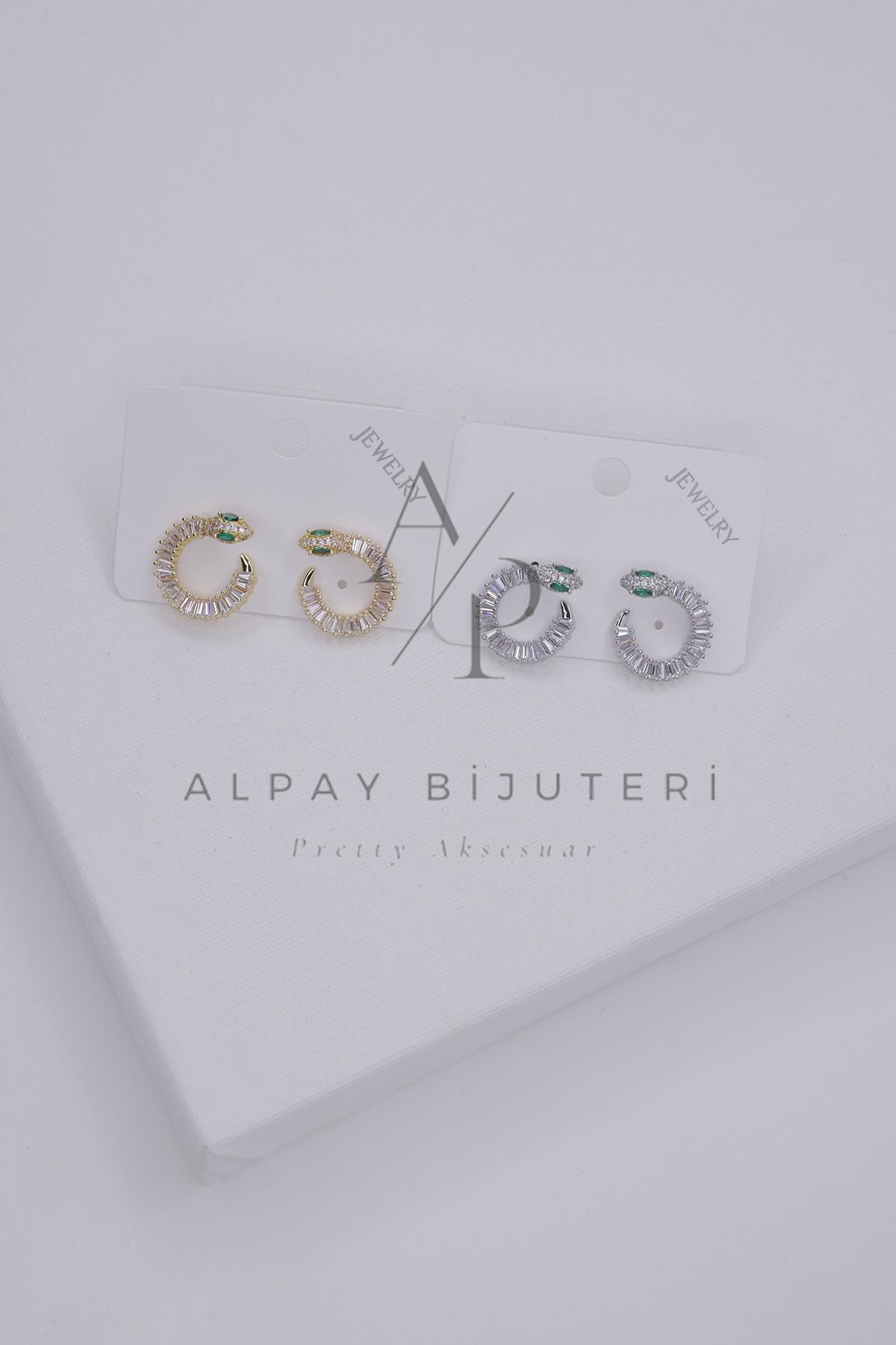 Şık Tasarım Küpe