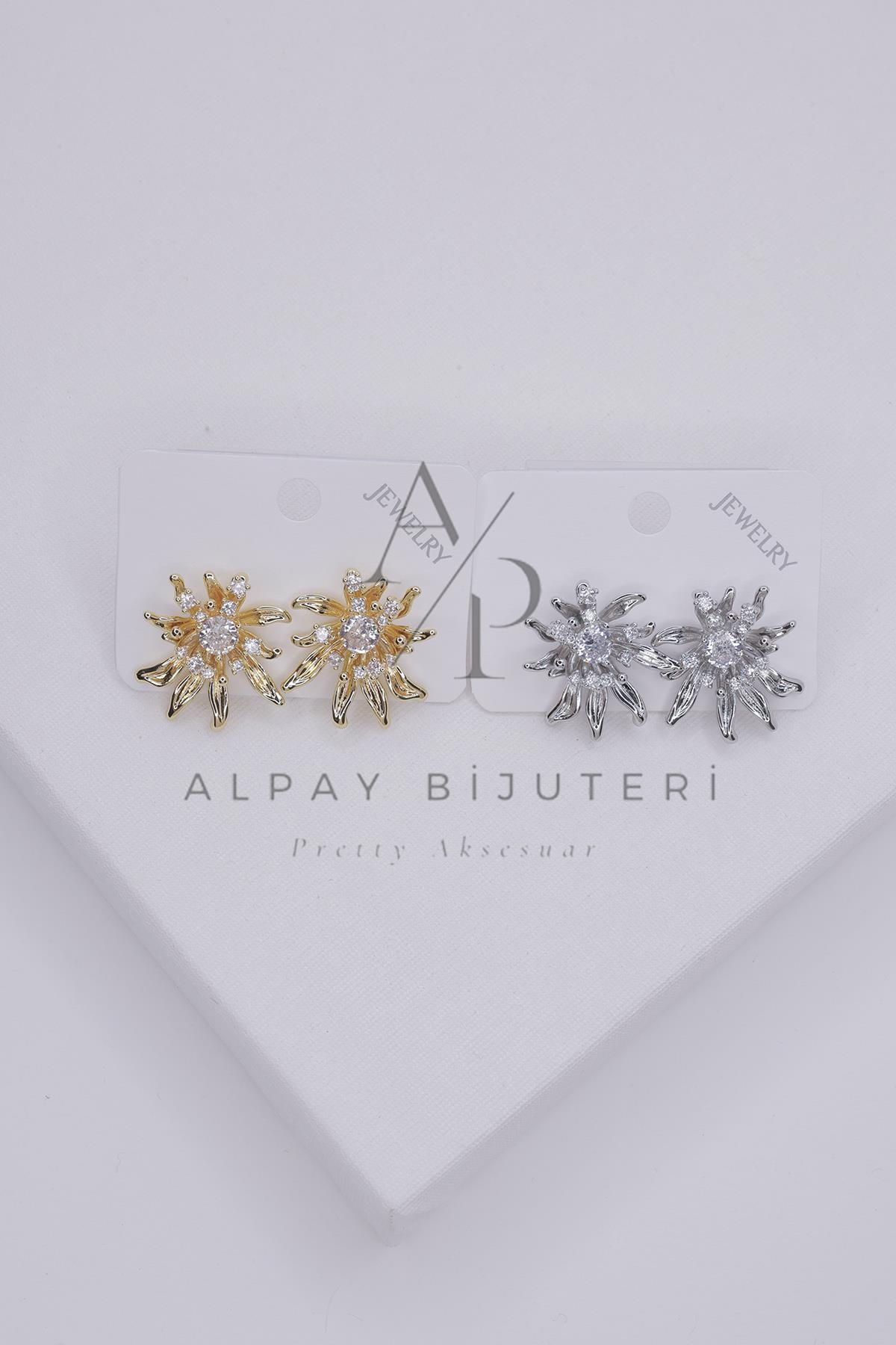 Şık Tasarım Küpe