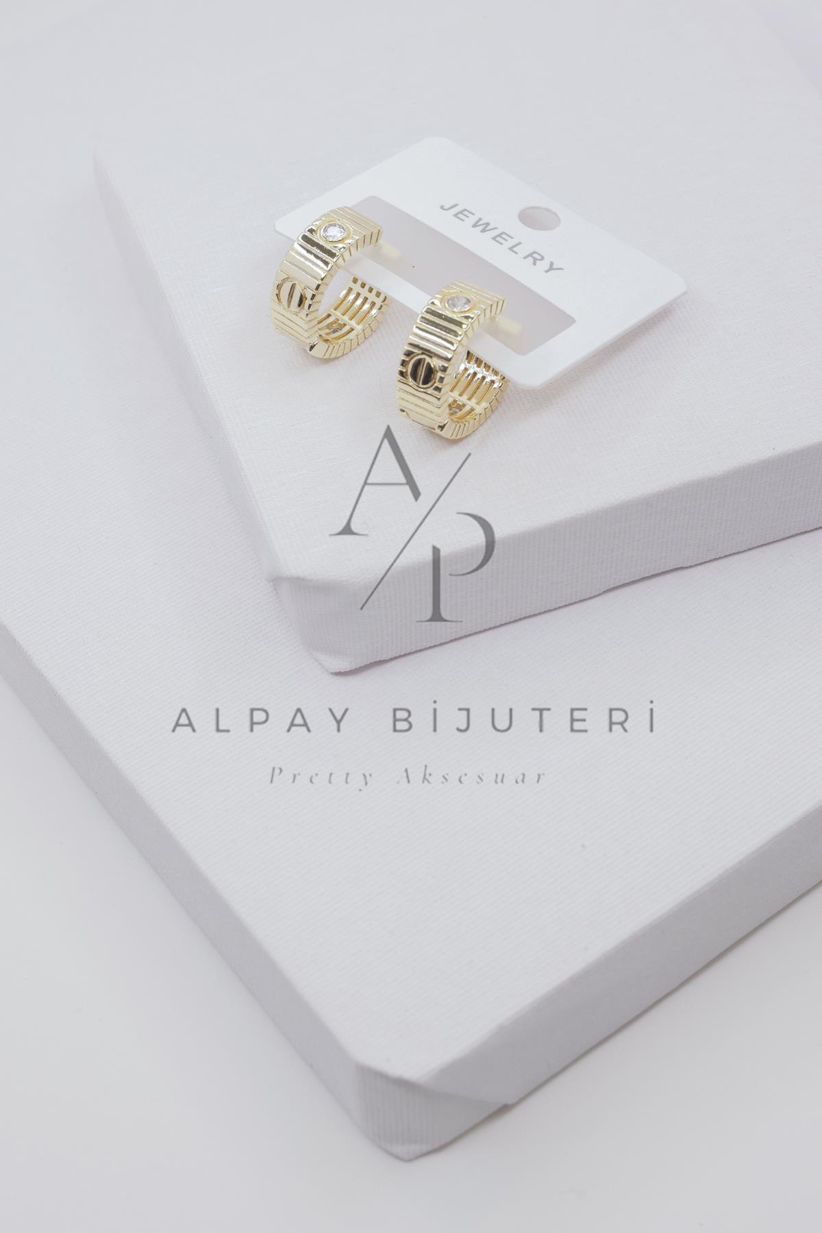 Şık Tasarım Küpe