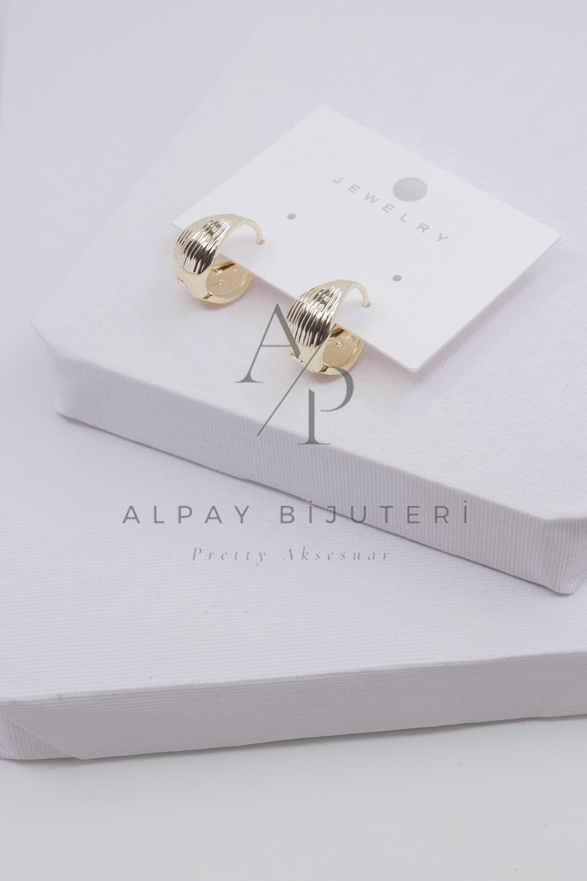 Şık Tasarım Küpe