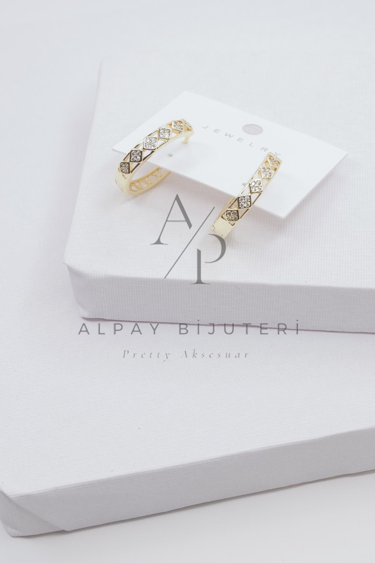 Şık Tasarım Küpe