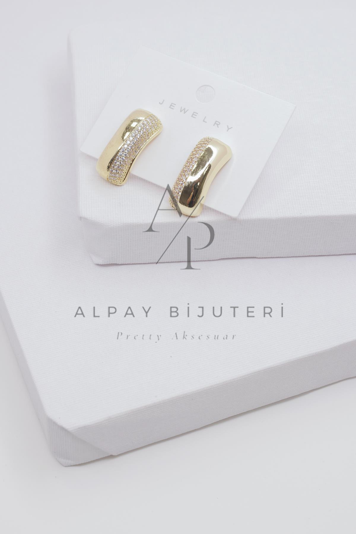 Şık Tasarım Küpe