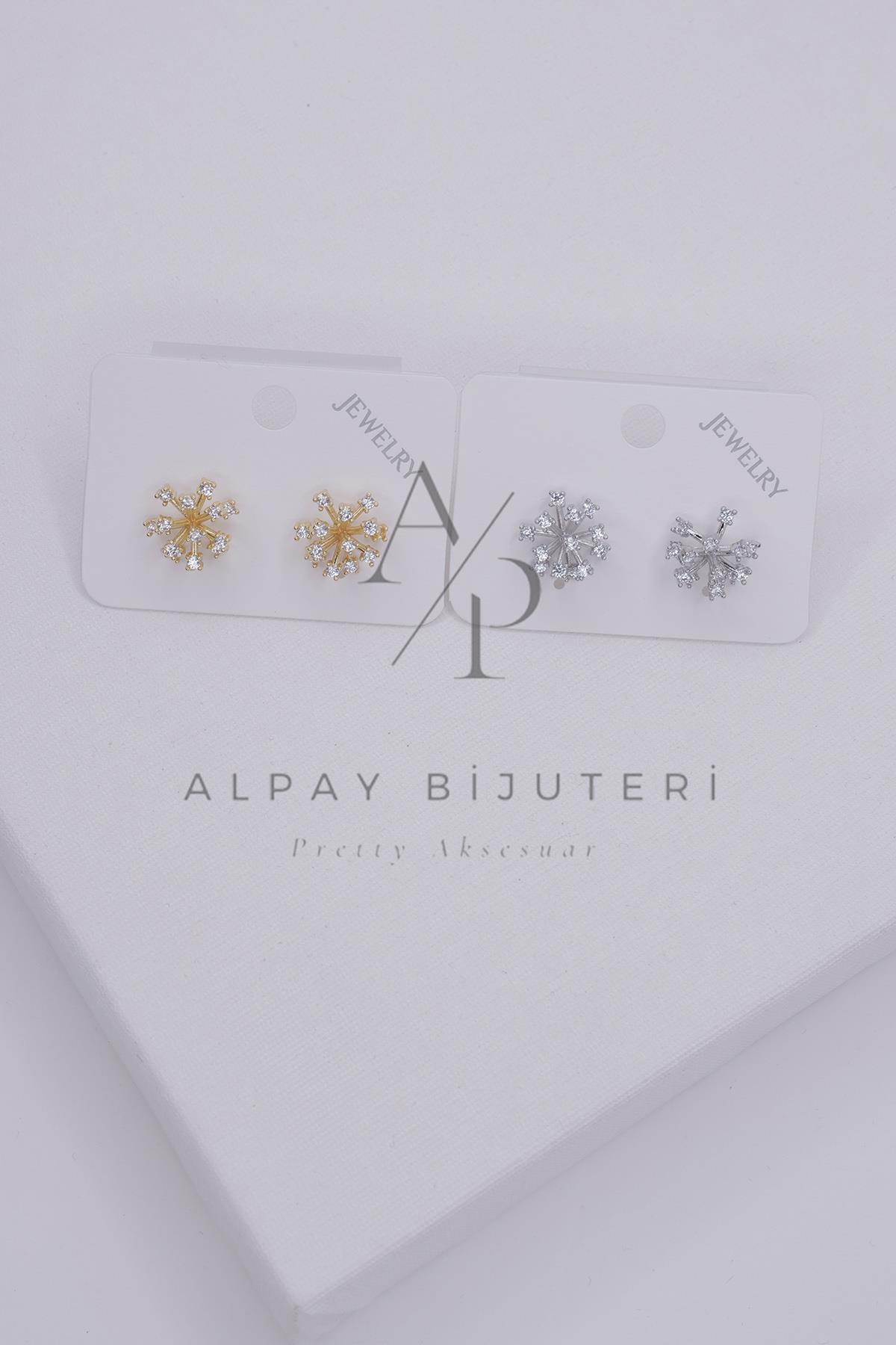 Şık Tasarım Küpe