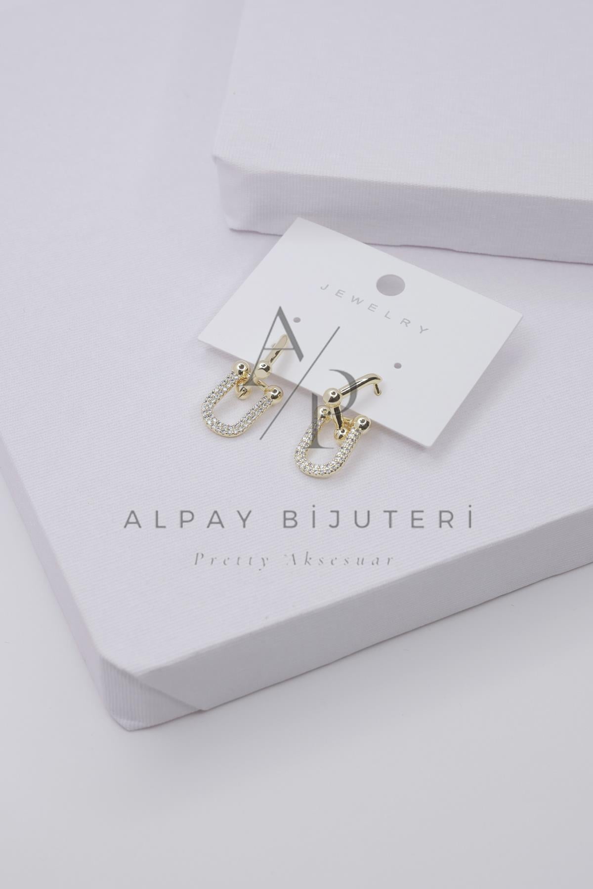 Şık Tasarım Küpe