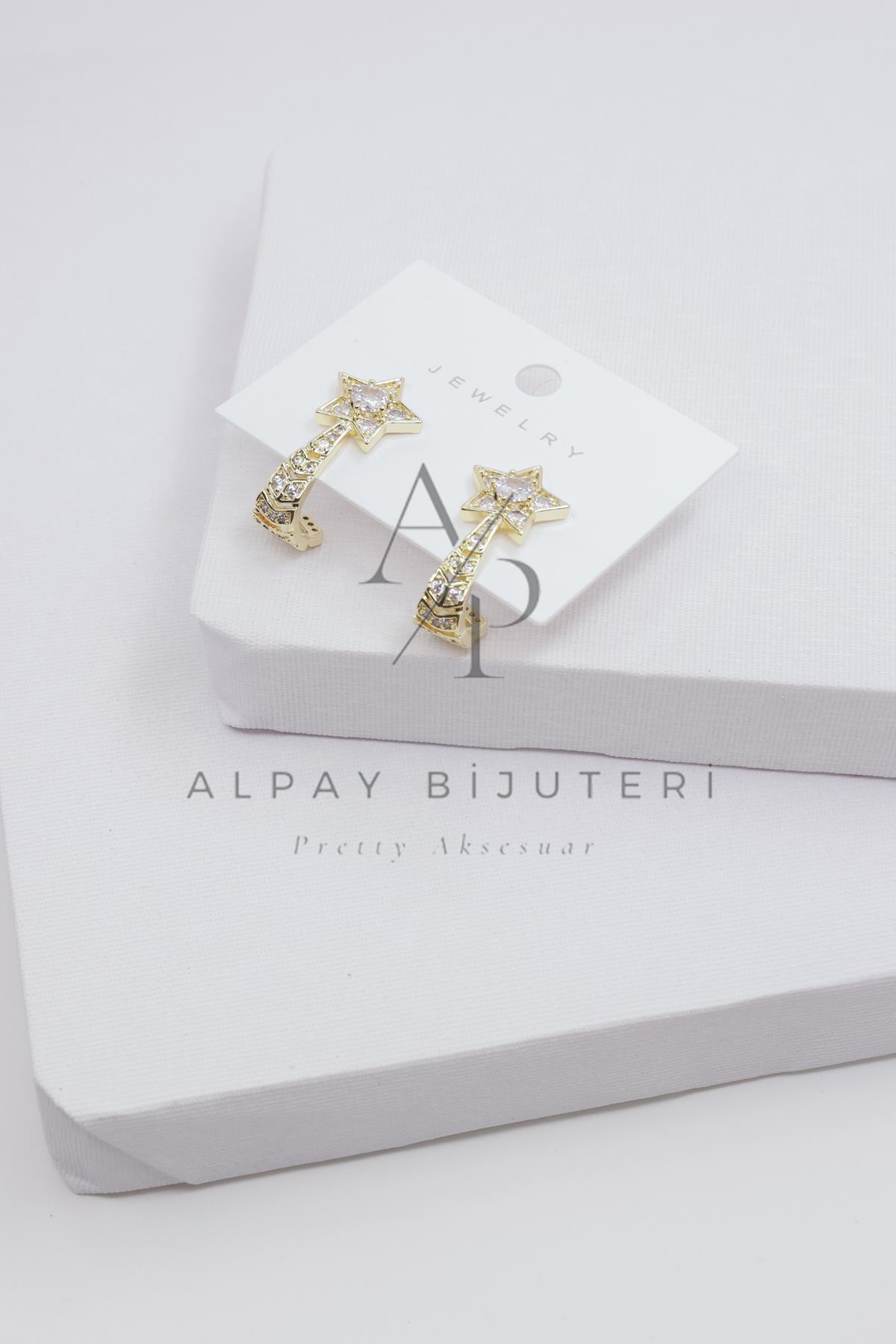 Şık Tasarım Küpe