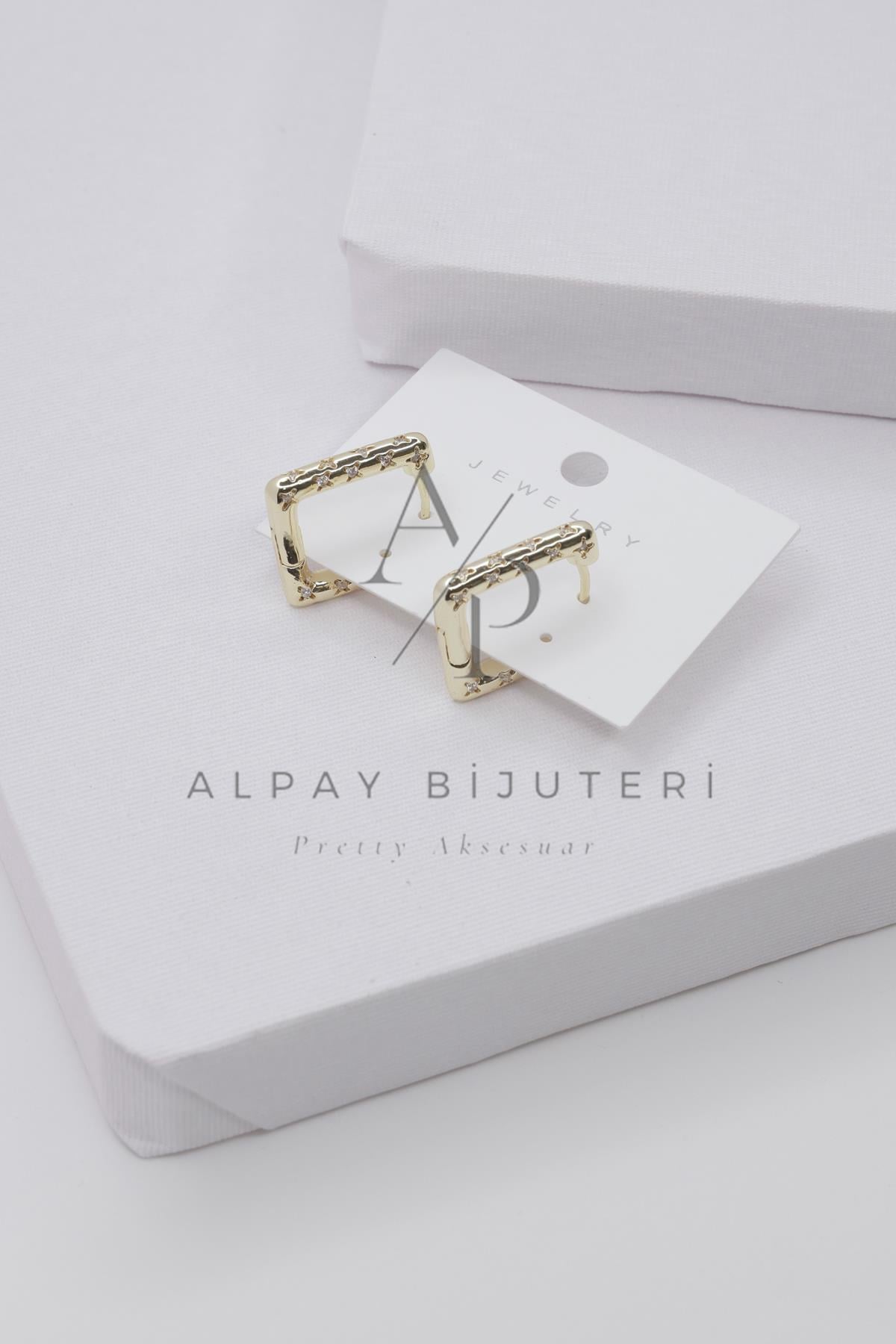 Şık Tasarım Küpe