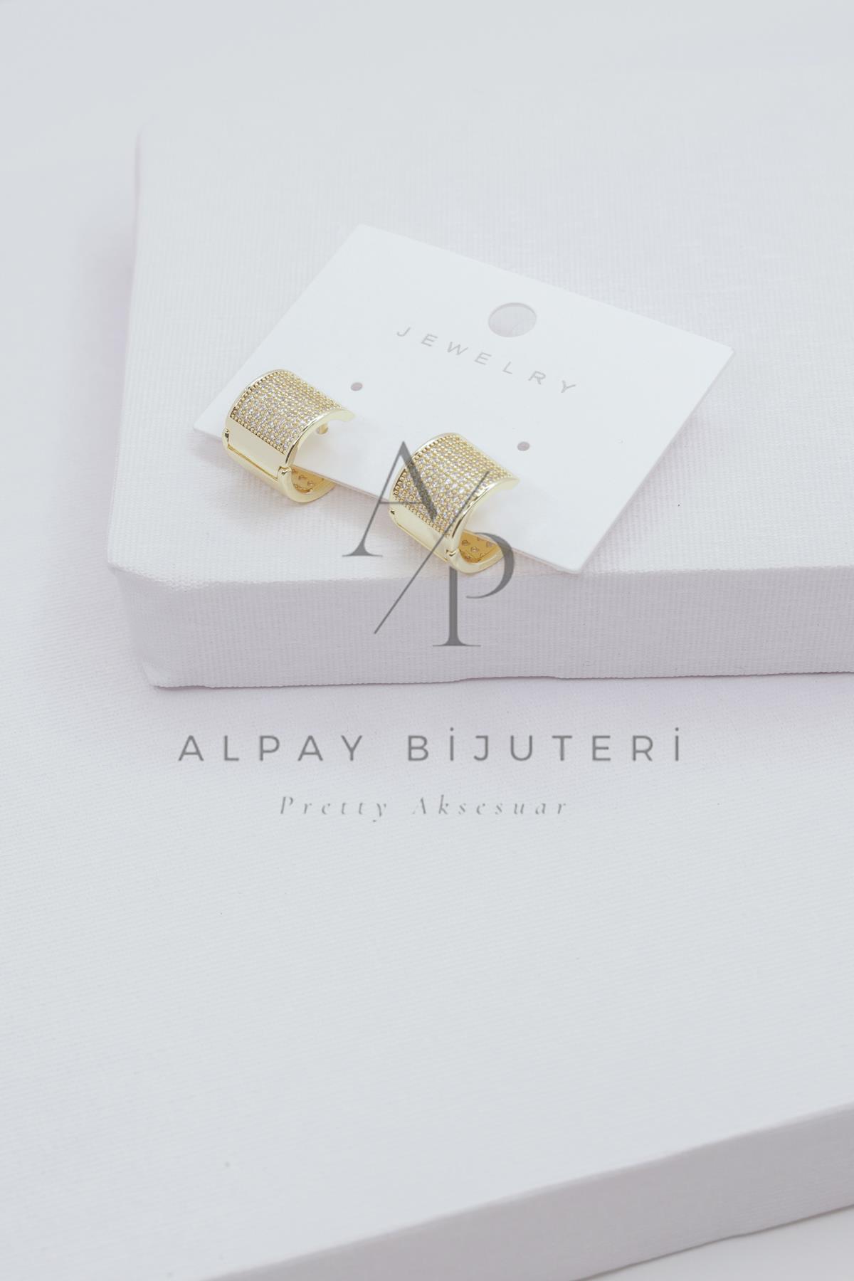 Şık Tasarım Küpe