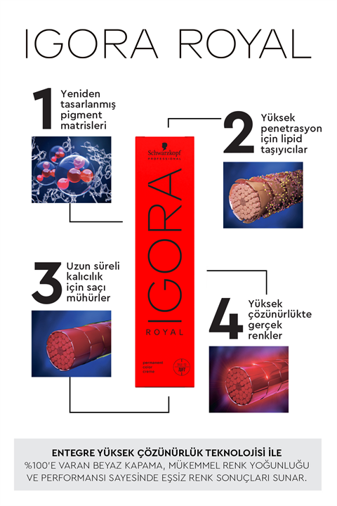 Igora Royal 6-63 60ml