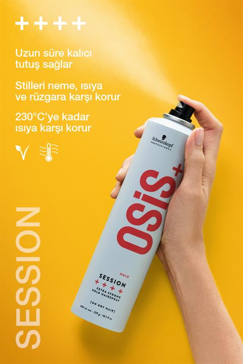 Session Güçlü Tutuşlu Saç Spreyi 500ml