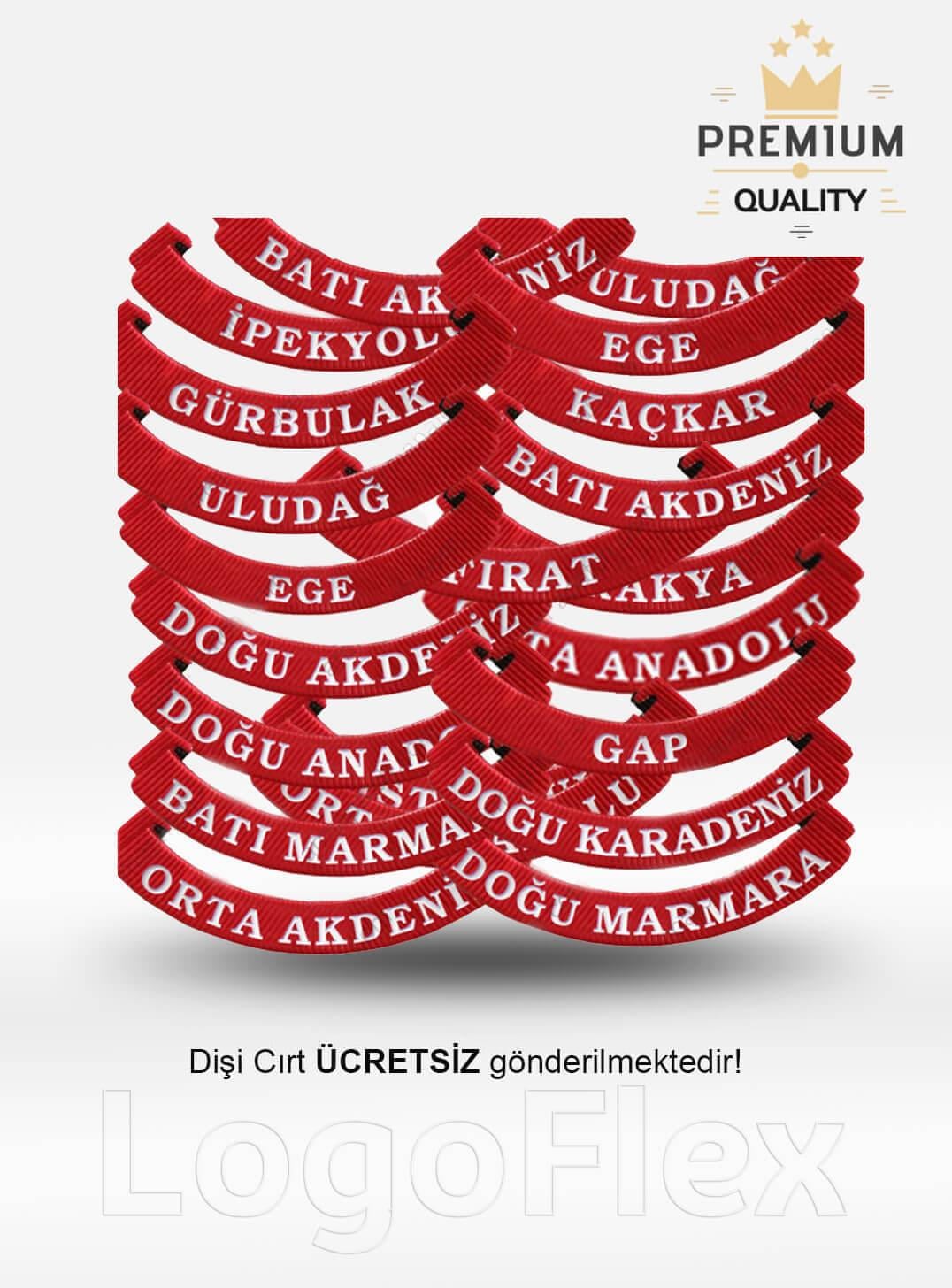 LogoFlexGümrük Bölge Yazısı - OnaylıLF0033