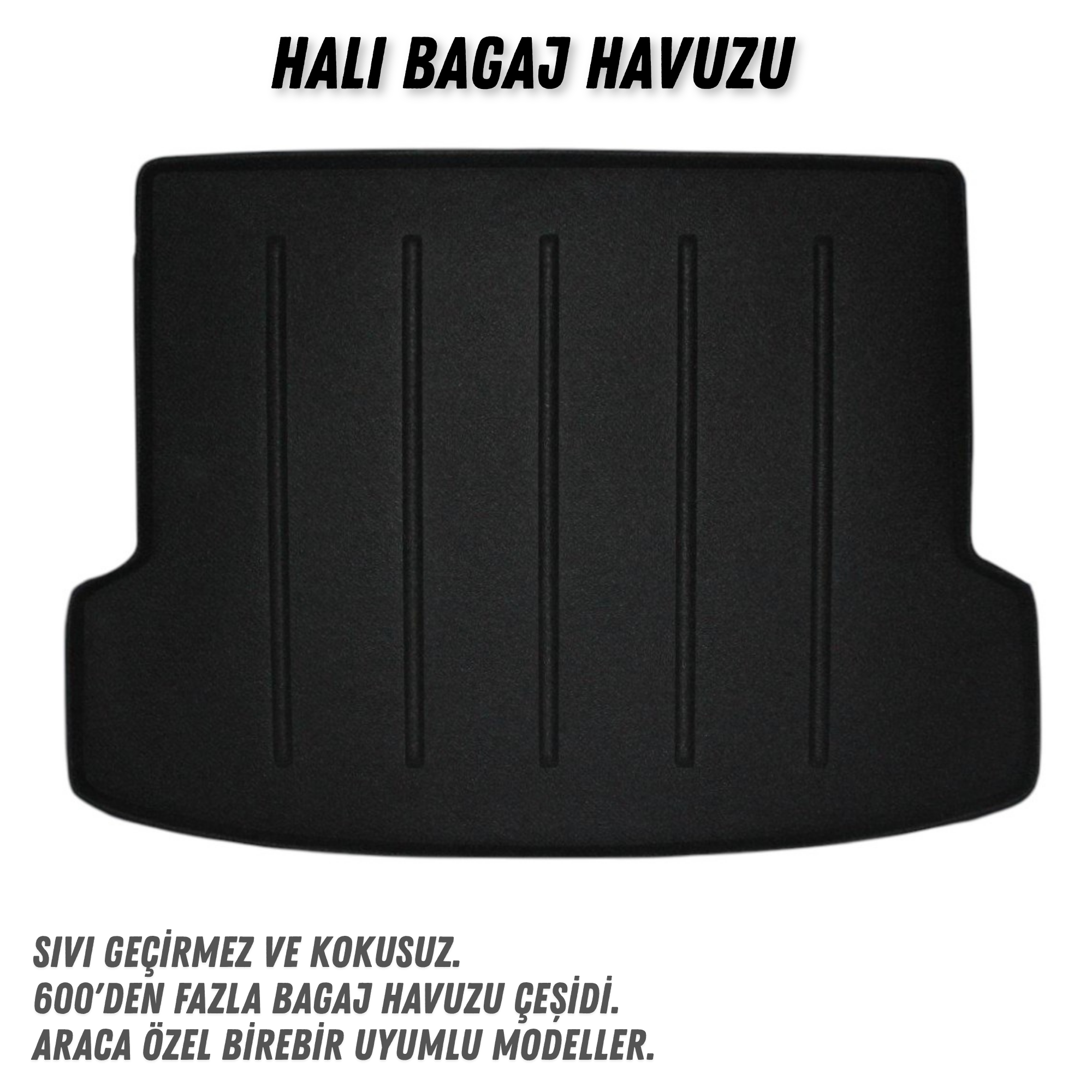 3d paspas, 3d bagaj havuzu