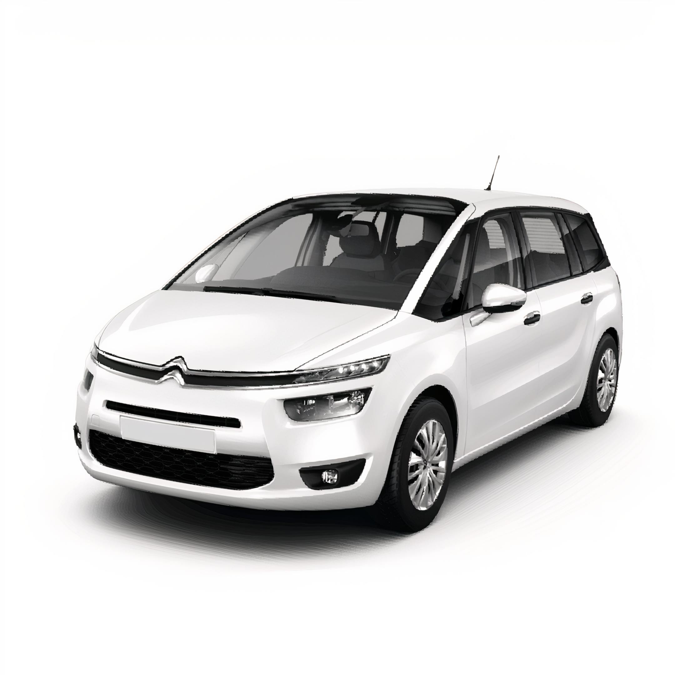 Citroen C4 Picasso Bagaj Havuzu (2013 Sonrası)