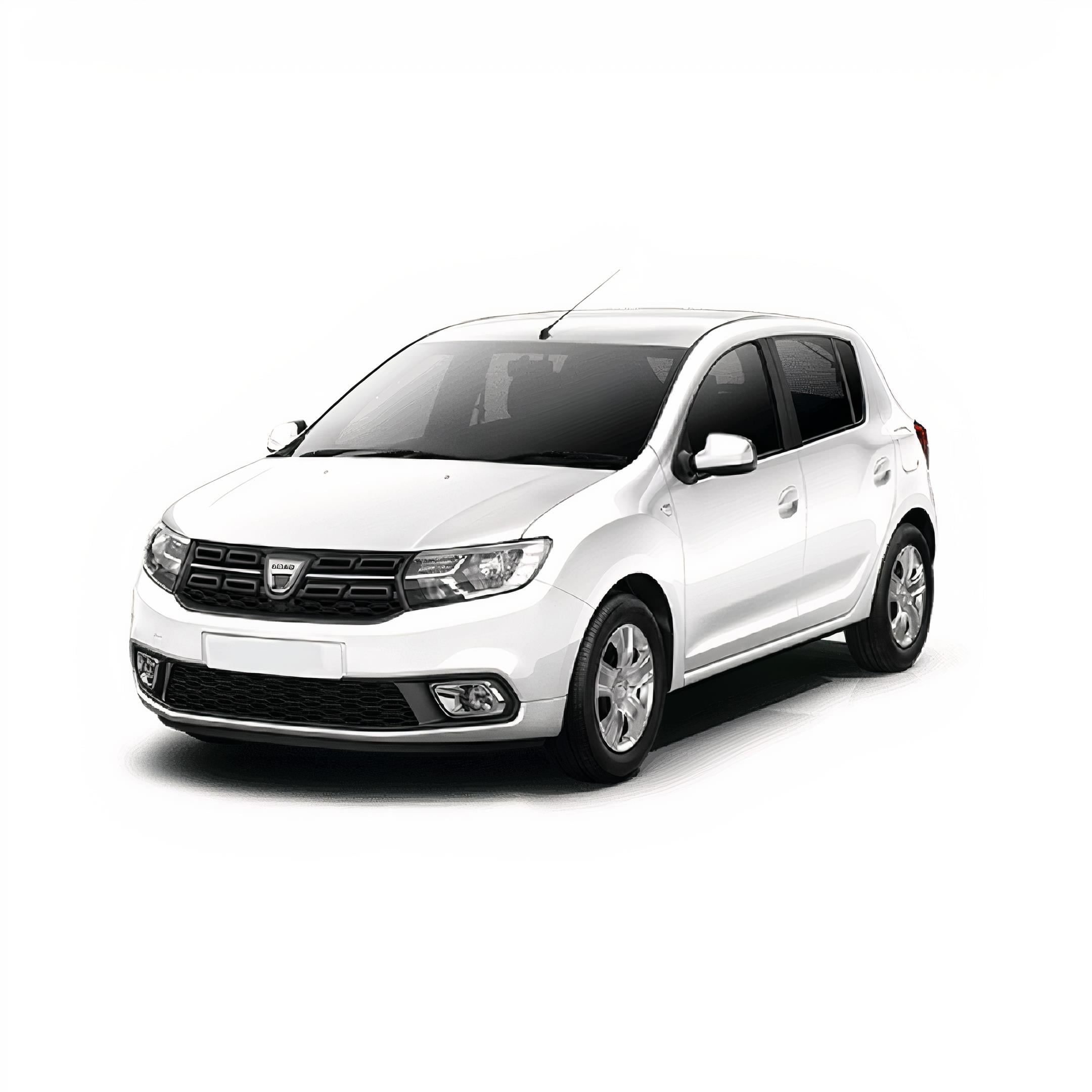 Dacia Sandero Halı Bagaj Havuzu (2013 - 2021 Arası)