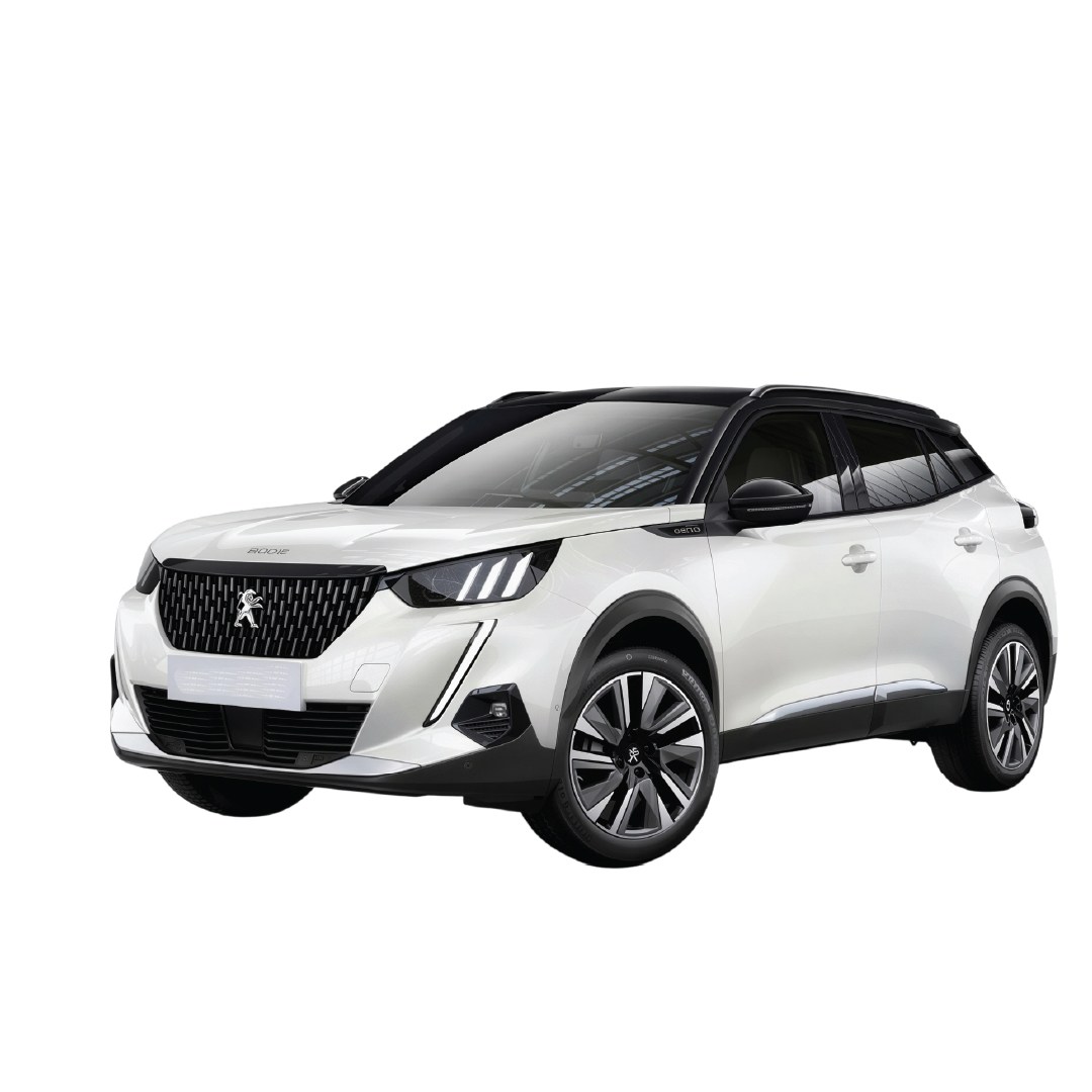 Peugeot 2008 Alt Raf Halı Bagaj Havuzu (2020 Sonrası)