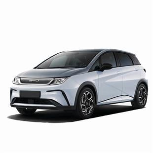 BYD Dolphin Halı Bagaj Havuzu (2025 ve Sonrası)