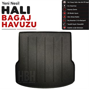 BYD Tang Halı Bagaj Havuzu 2025 ve Sonrası