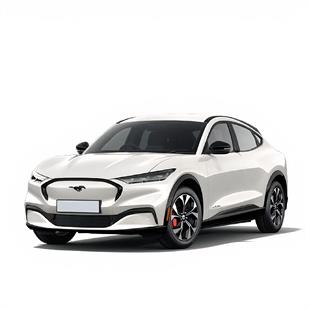 FORD MUSTANG MACH-E 2024 VE SONRASI HALI  BAGAJ HAVUZU