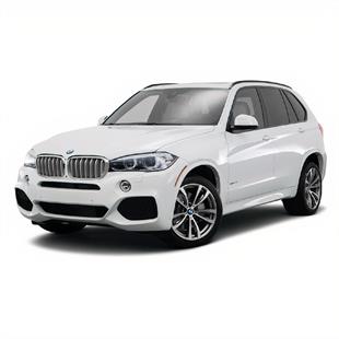 BMW X5 Halı Bagaj Havuzu F15 (2013 Sonrası)