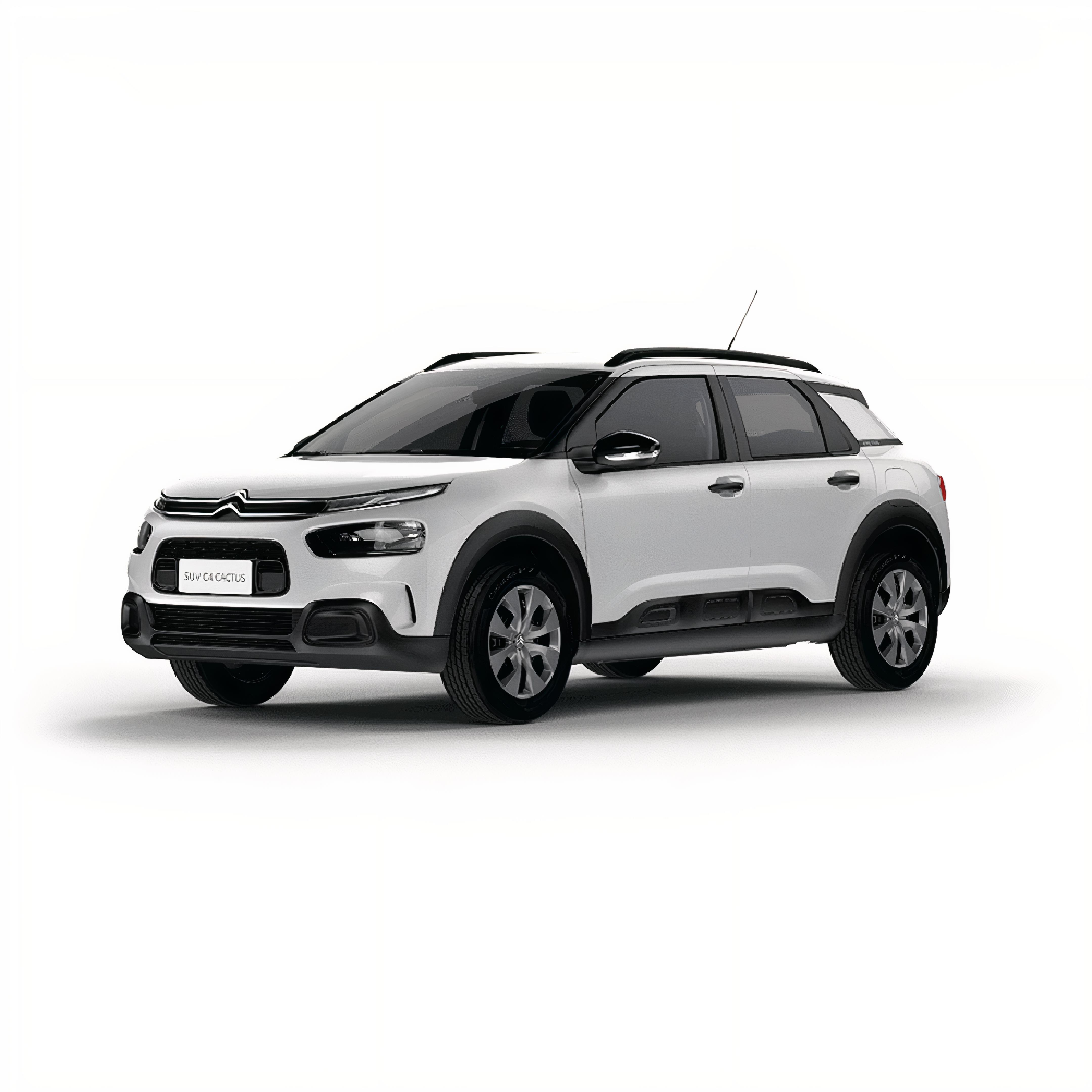 Citroen C4 Cactus Halı Bagaj Havuzu