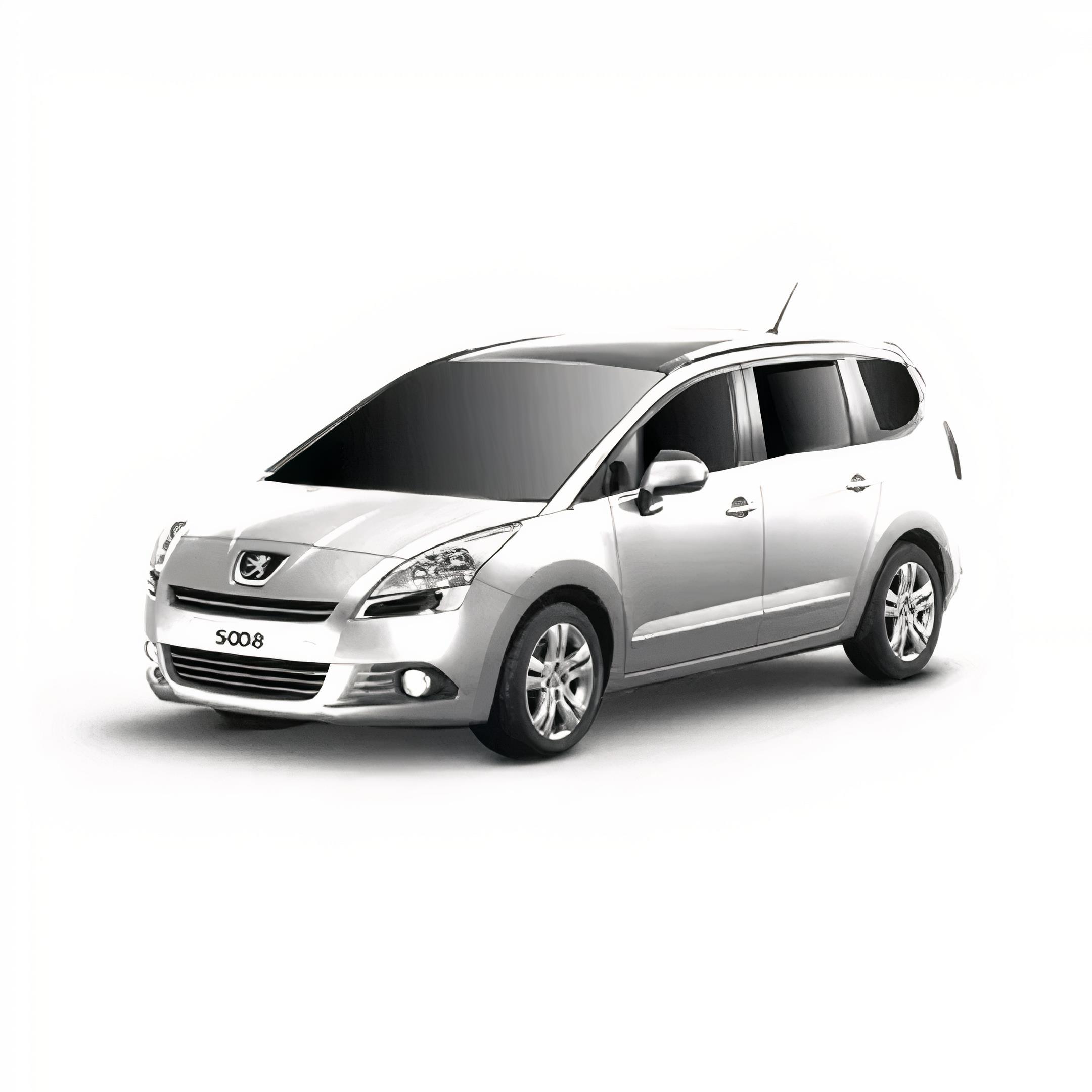 Peugeot 5008 Halı Bagaj Havuzu (2011-2017 Arası)