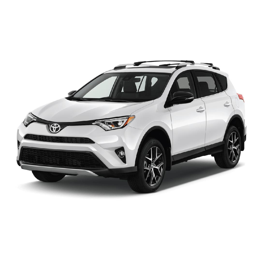 Toyota RAV4 Hybrid Halı Bagaj Havuzu (2017-2020 Arası)