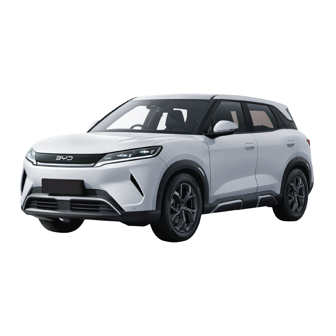 BYD Atto 2 Halı Bagaj Havuzu Alt-Üst Raf Uyumlu Uyumlu (2025 ve Sonrası)