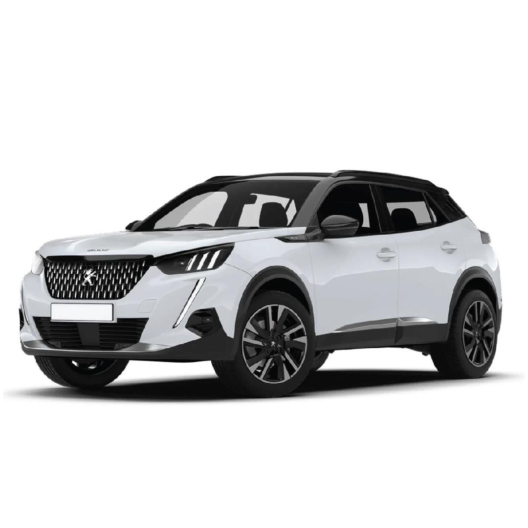 Peugeot 2008 E 2024 Sonrasi Hali Bagaj Havuzu