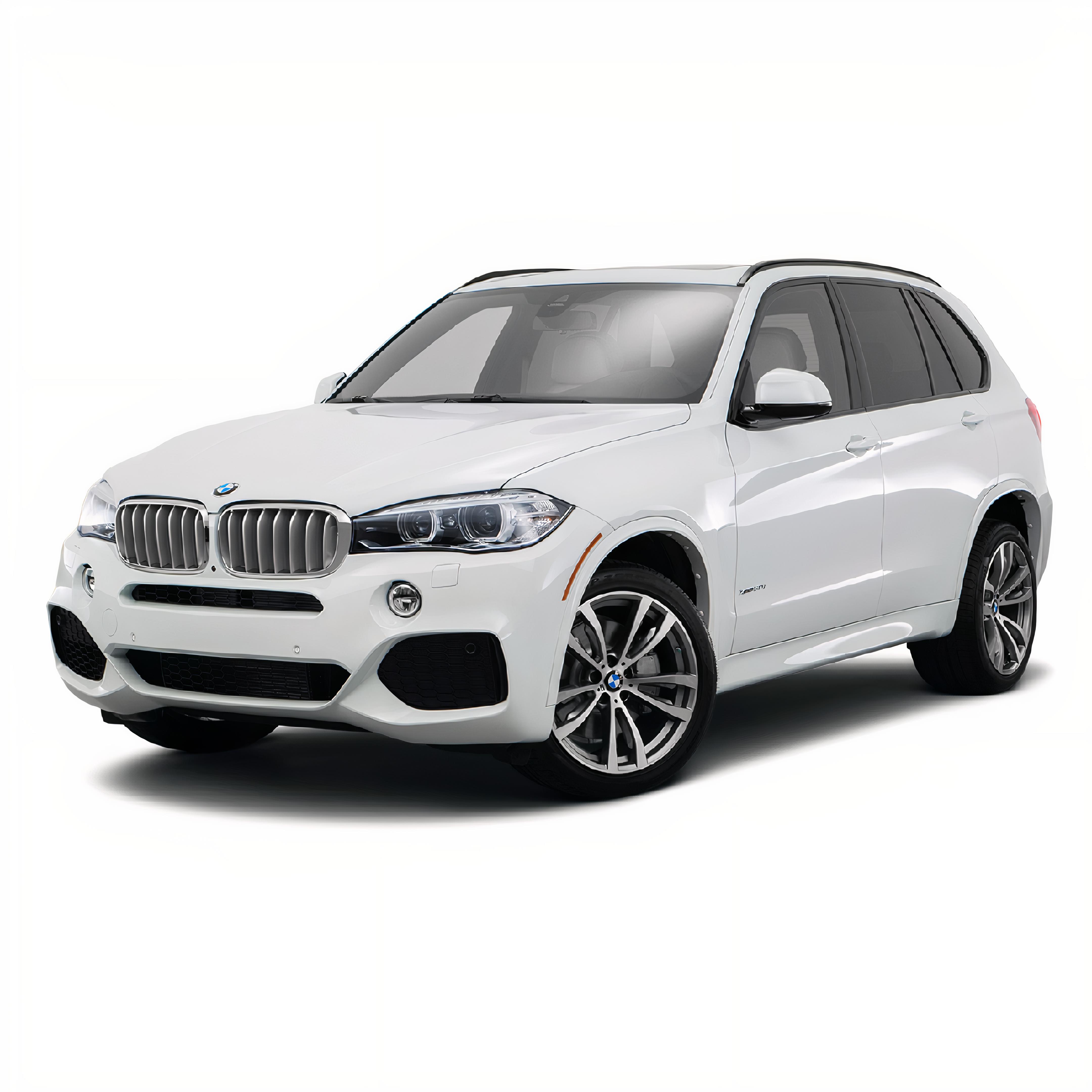 BMW X5 Halı Bagaj Havuzu F15 (2013 Sonrası)