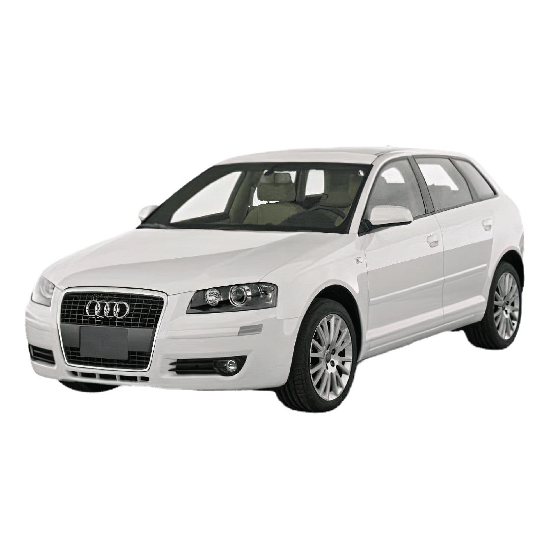Audi A3 Sportback Halı Bagaj Havuzu (2006 - 2012 Arası)