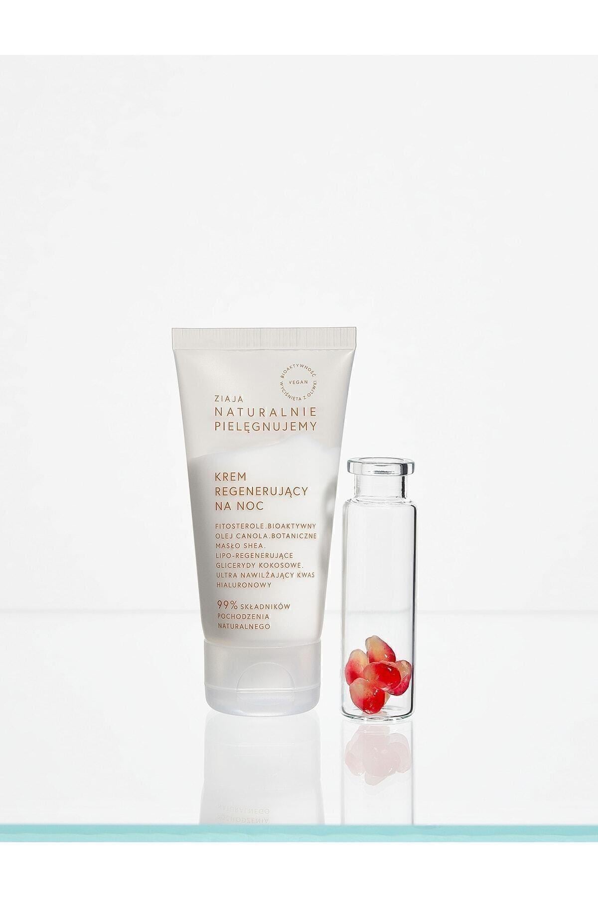 Natural Care Canlandırıcı Gece Kremi 50 ml – Besleyici & Nemlendirici - Outlet