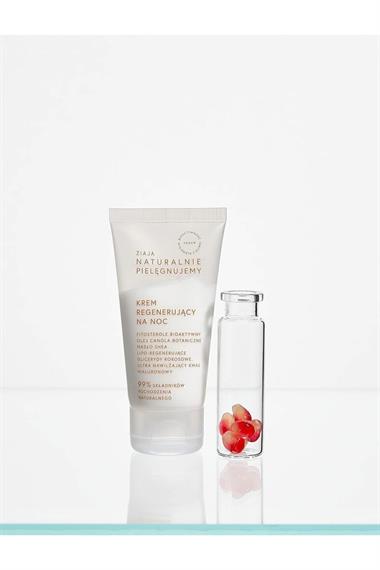 Natural Care Canlandırıcı Gece Kremi 50 ml – Besleyici & Nemlendirici - Outlet