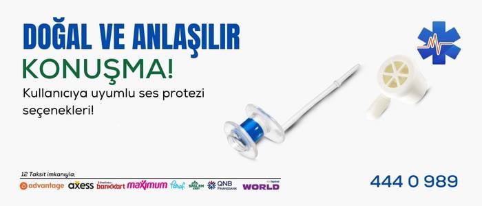 Ses Protezleri