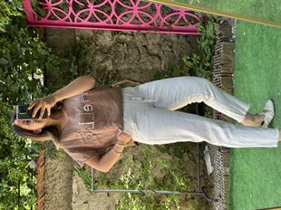 %100 Keten Hello İthal Bluz Taba
