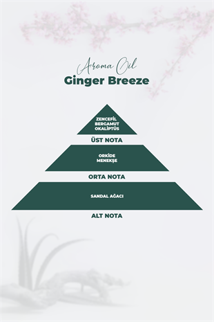 Aroma Oil Ginger Breeze Parfüm 250 ML