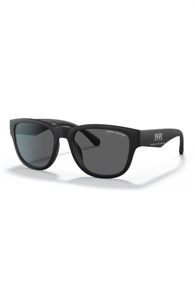 ARMANI EXCHANGE ERKEK GÜNEŞ GÖZLÜĞÜ AX 4115SU 807887 54