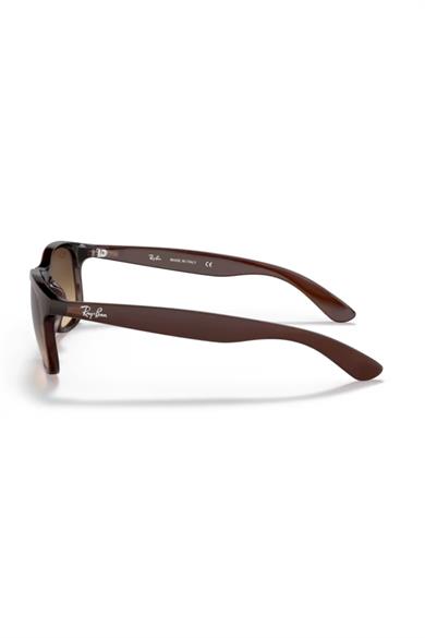 RAY-BAN ERKEK GÜNEŞ GÖZLÜĞÜ 0RB4202 607313 55