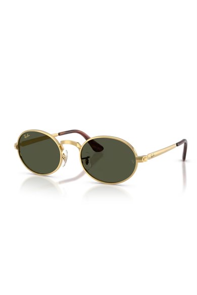 RAY-BAN UNISEX GÜNEŞ GÖZLÜĞÜ RB 3931 001/31 54 G