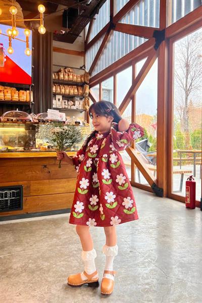 Daisy Dream Puff Dress Child Burgundy