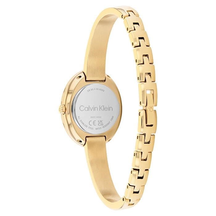 Calvin Klein CK25100203 Kadın Kol Saati