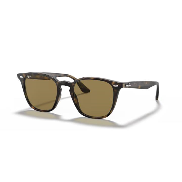Ray-Ban 0RB4258 710/7350 Propionat Unısex Güneş Gözlüğü