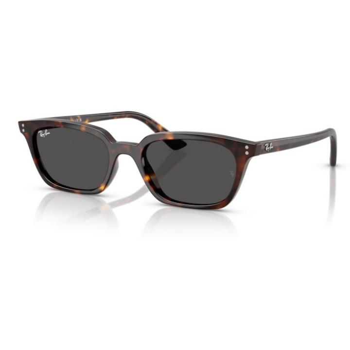 Ray-Ban 0RB4456 13598753 Enjeksiyon Unısex Güneş Gözlüğü