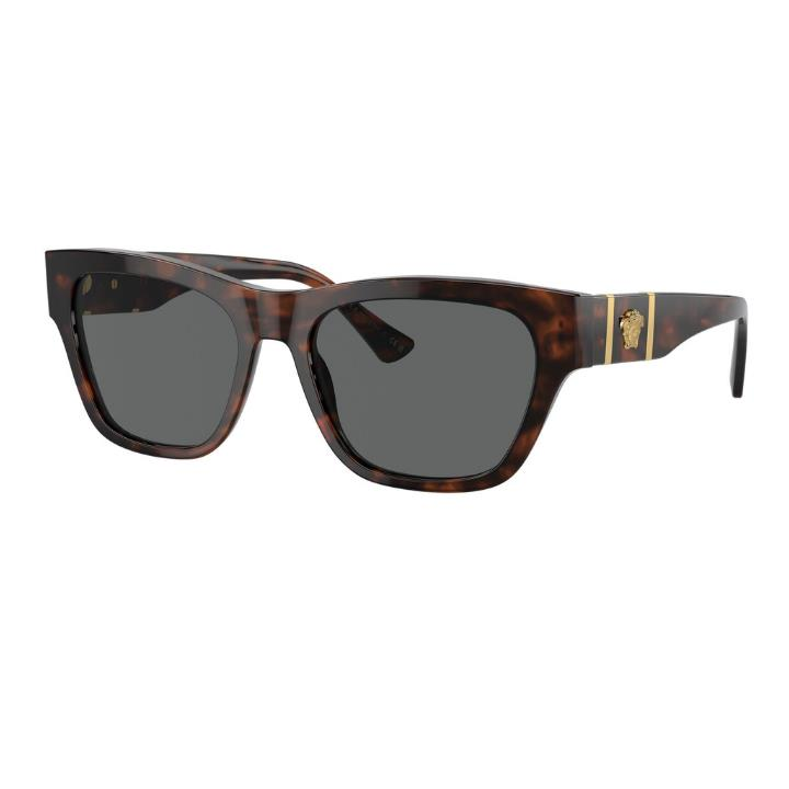 Versace 0VE4457 54298755 Asetat Erkek Güneş Gözlüğü
