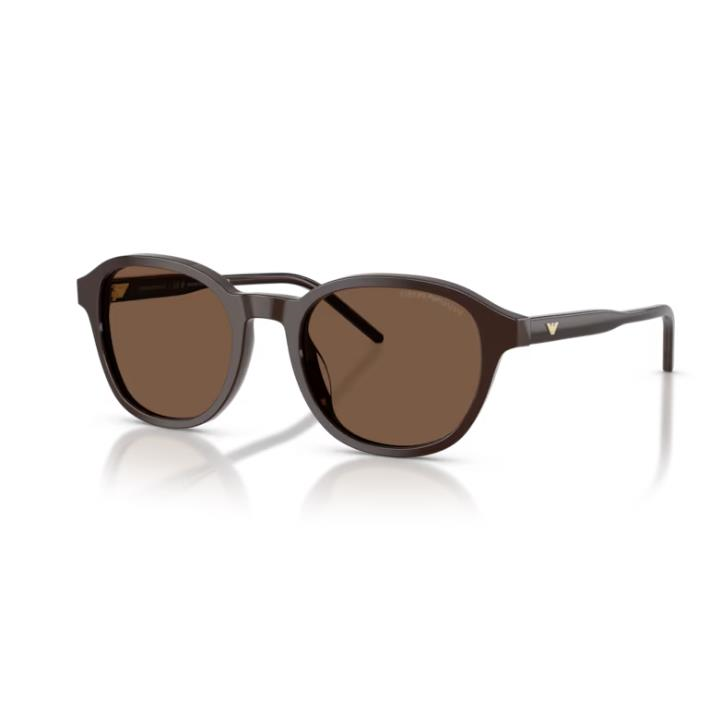 Emporio Armani 0EA4247U 62557351 Erkek Güneş Gözlüğü