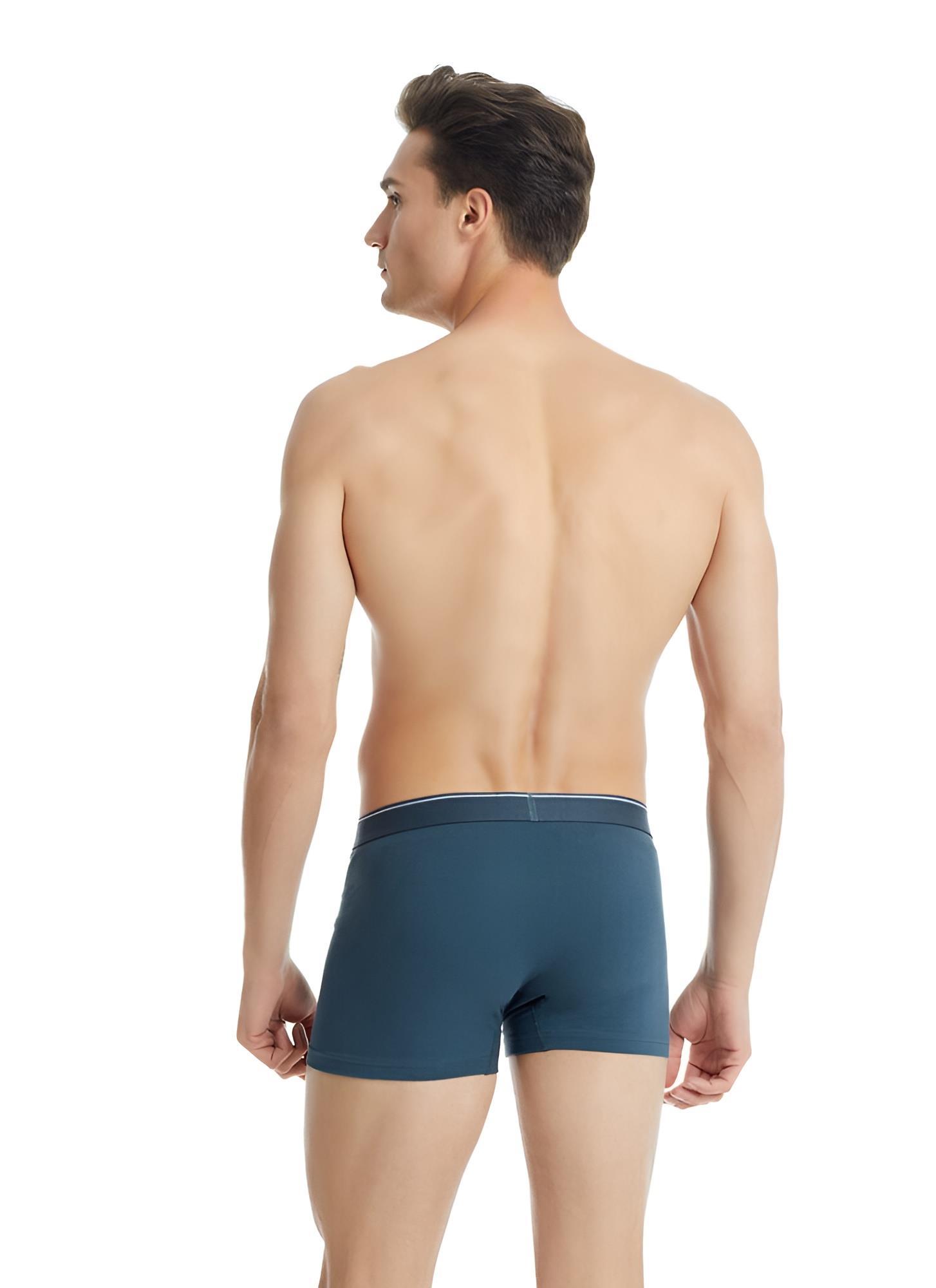 Blackspade Erkek Boxer Pamuklu 3lü Paket 9670