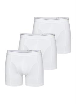 Blackspade Erkek Beyaz Boxer Pamuklu 3lü Paket 9673
