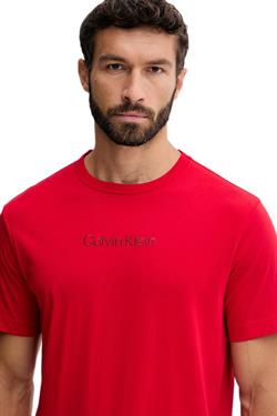 Calvin Klein Erkek Kırmızı T-Shirt 000NM2748E