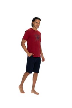 U.S. Polo Assn. Erkek Bordo Şort Takım 18884