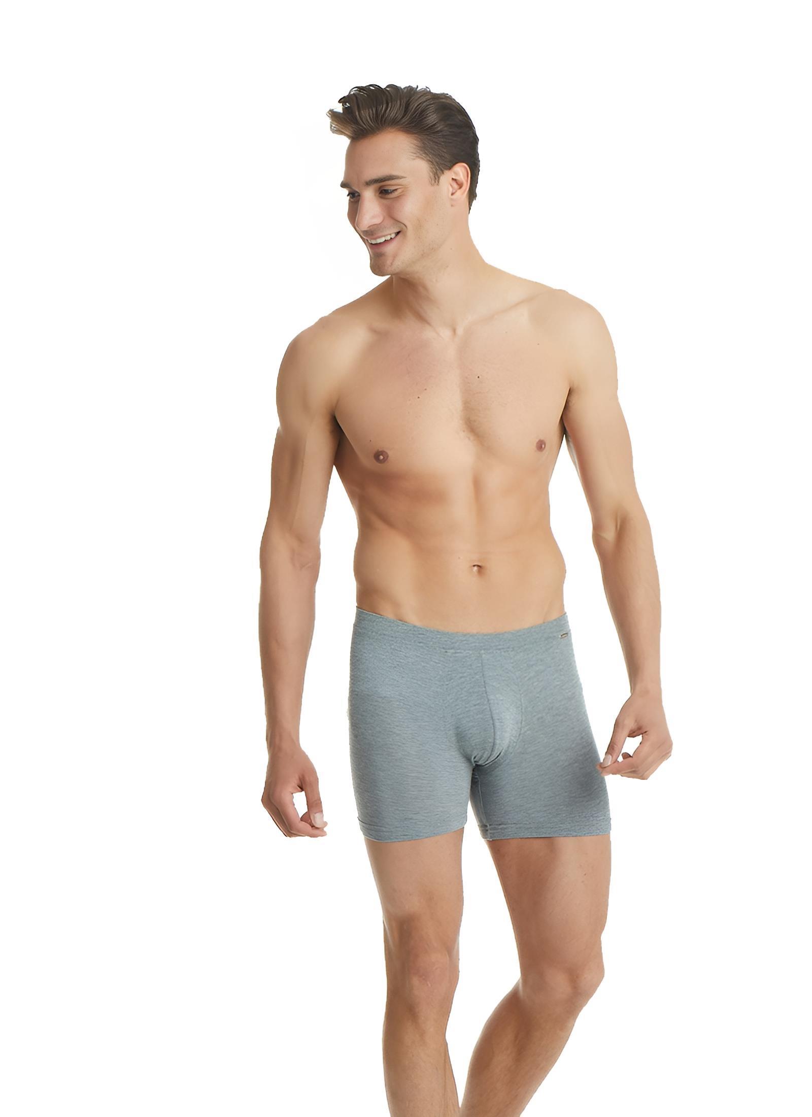 Blackspade Erkek Gri Silver Boxer 9313